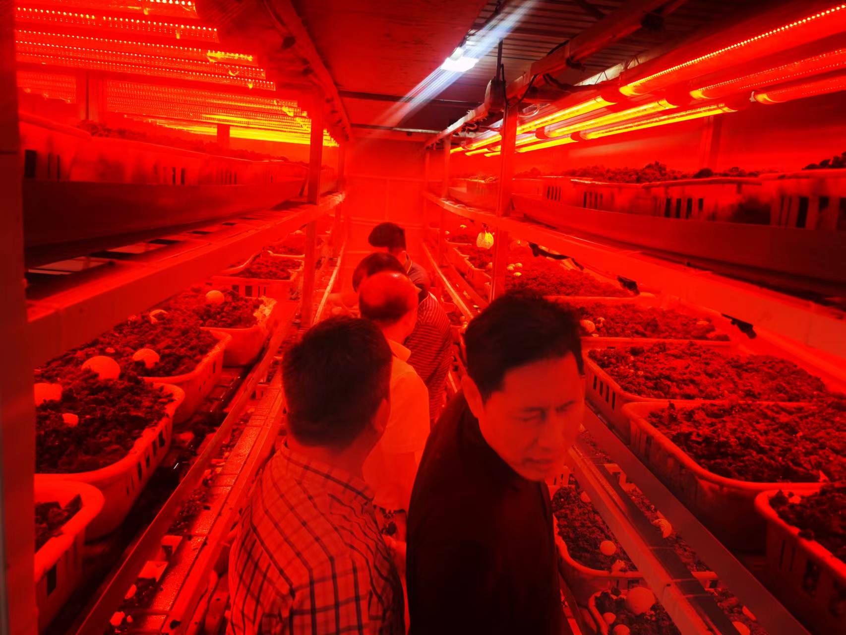 f2f70f80fd582bd24212c4fb75723e8.jpg f2f70f80fd582bd24212c4fb75723e8.jpg