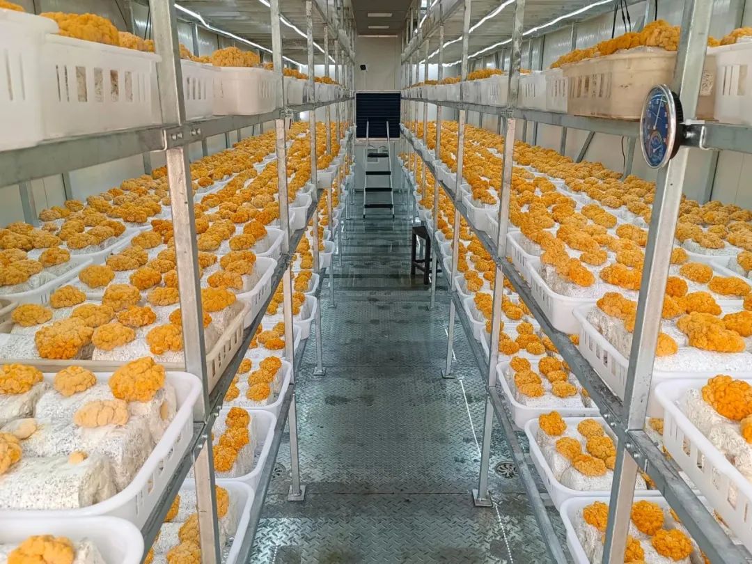 微信圖片_20231212140101.jpg 微信圖片_20231212140101.jpg