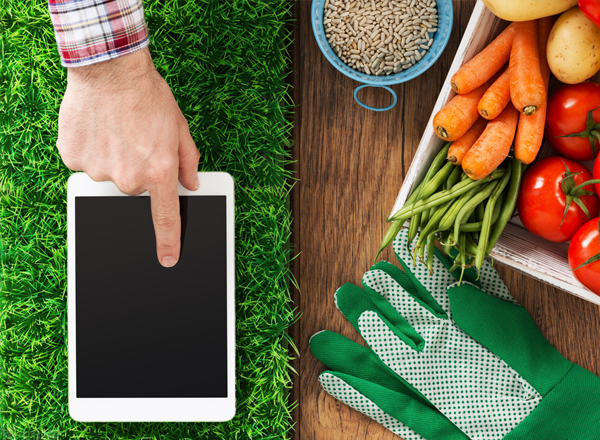 2022年，智慧農業的熱度會降低嗎？