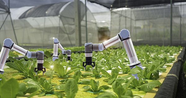 智慧農業(yè)工程管理-物聯(lián)網(wǎng)硬件產品介紹